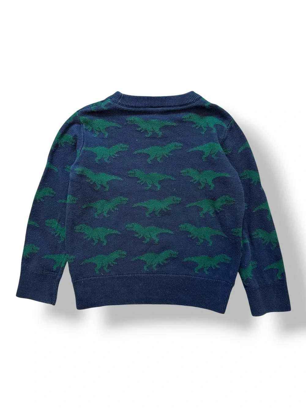 Contrast Dinosaur Knit Crewneck Sweater (5) 🦖
